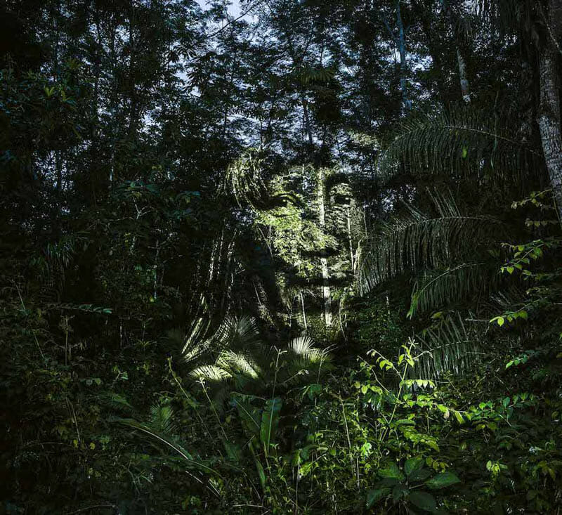 Street Art 2.0 in the Amazon; digital projection on trees of Suri natives by Philippe Echaroux
